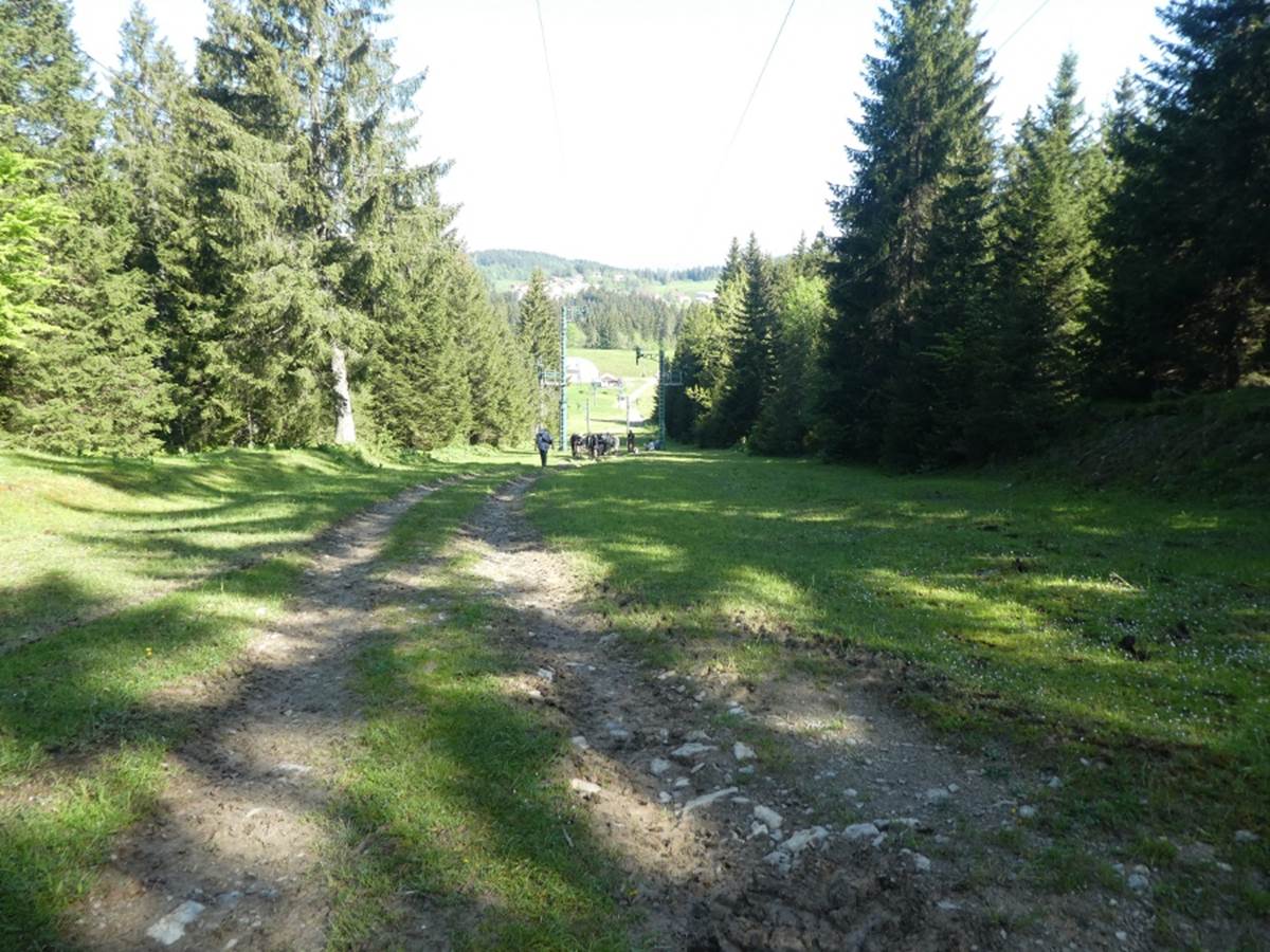 Une image contenant plein air, herbe, ciel, Lopin de terre

Description g&eacute;n&eacute;r&eacute;e automatiquement